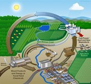 Power Biomass gasifier